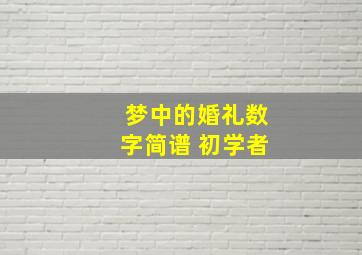 梦中的婚礼数字简谱 初学者